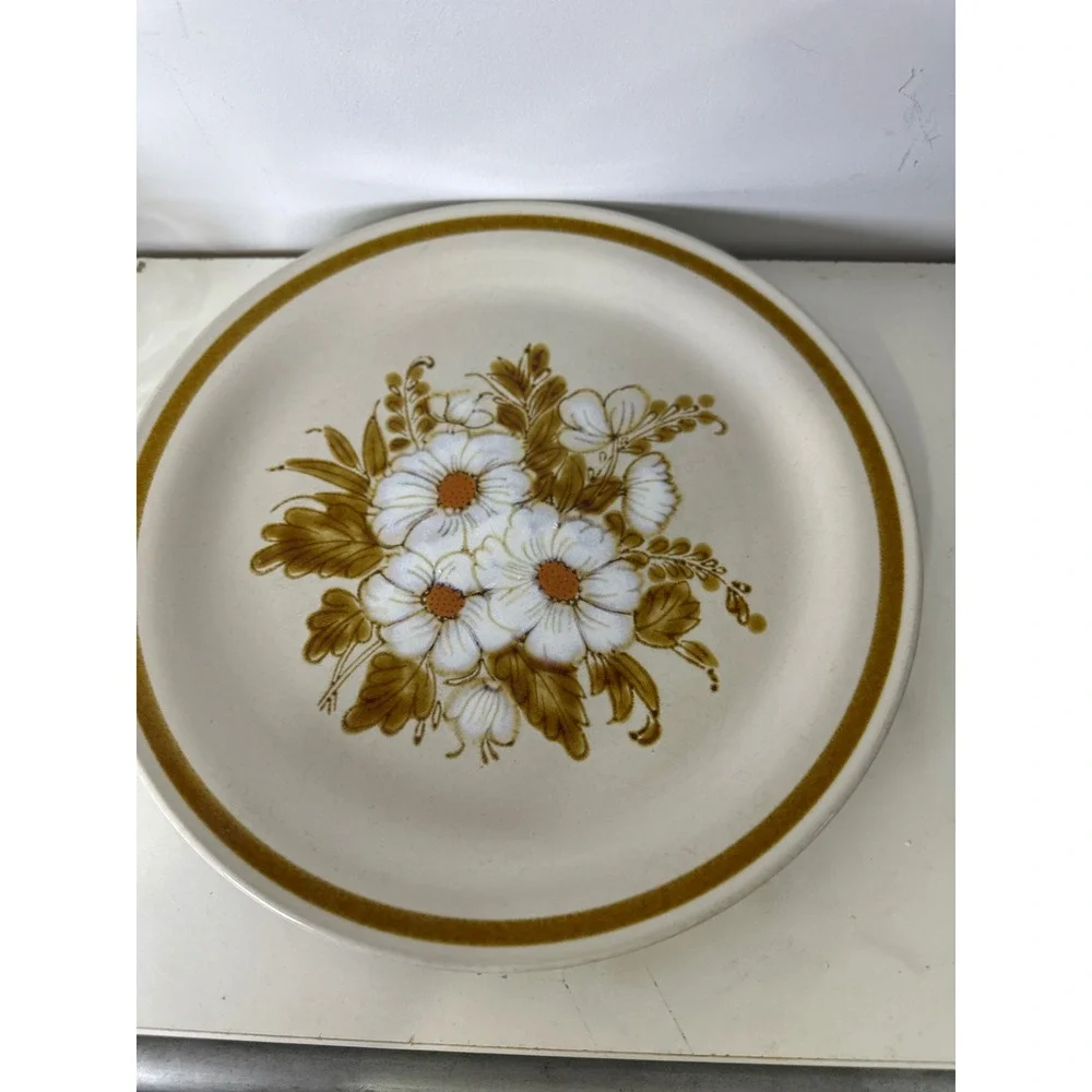 Mountain Wood Collection Dried Flowers Stw 2 Dinner Plate Japan Vintage Brown‎